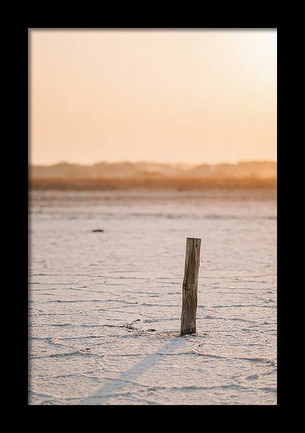 Moonlit Warmth Of Rann Of Kutch