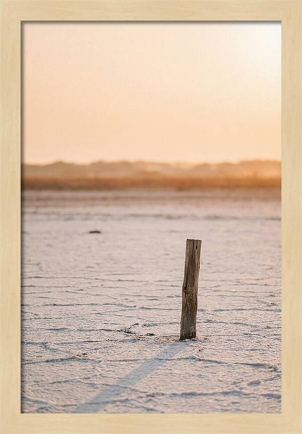 Moonlit Warmth Of Rann Of Kutch