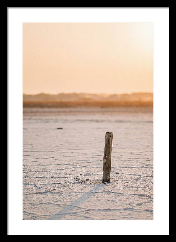 Moonlit Warmth Of Rann Of Kutch