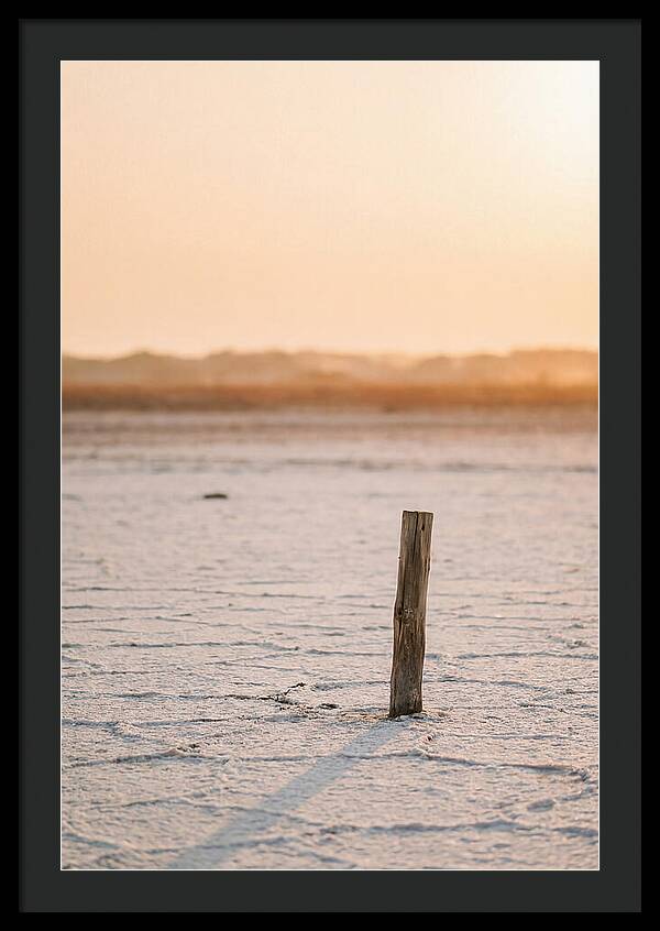 Moonlit Warmth Of Rann Of Kutch