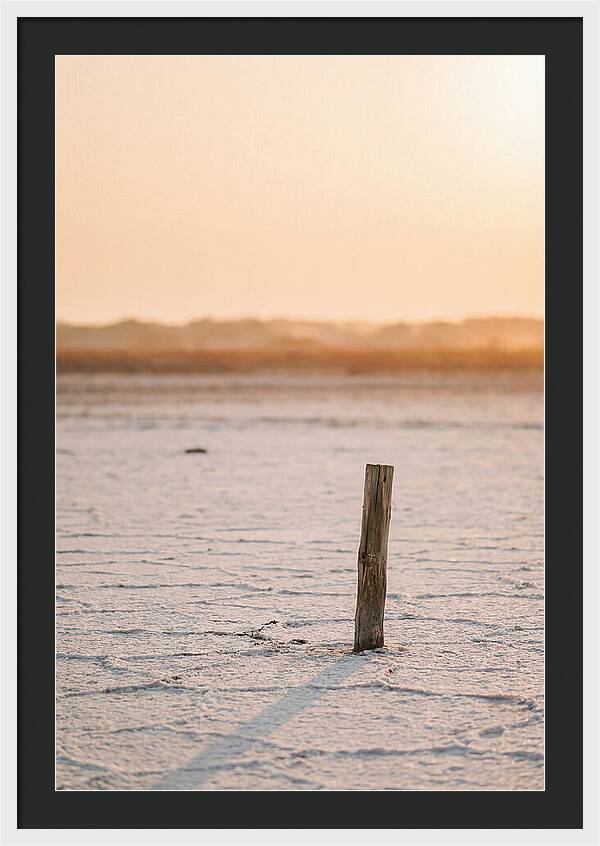 Moonlit Warmth Of Rann Of Kutch