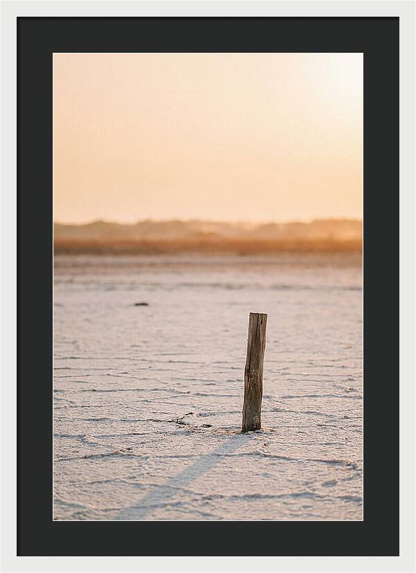 Moonlit Warmth Of Rann Of Kutch