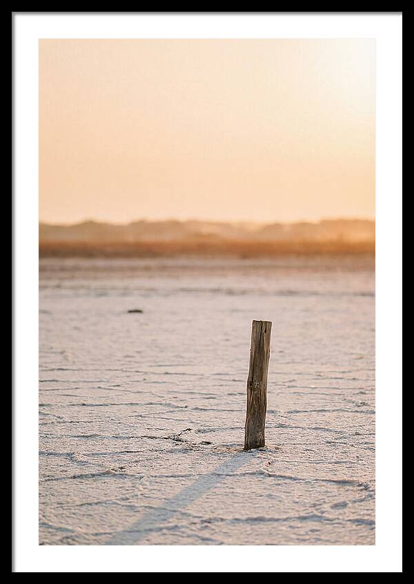Moonlit Warmth Of Rann Of Kutch