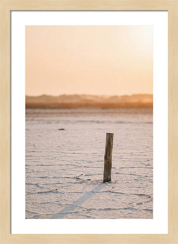 Moonlit Warmth Of Rann Of Kutch