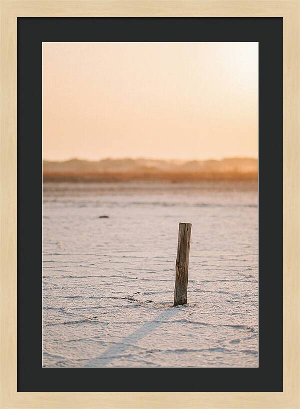 Moonlit Warmth Of Rann Of Kutch