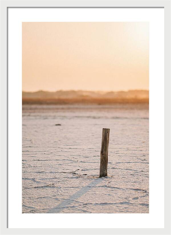 Moonlit Warmth Of Rann Of Kutch