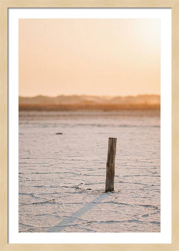 Moonlit Warmth Of Rann Of Kutch