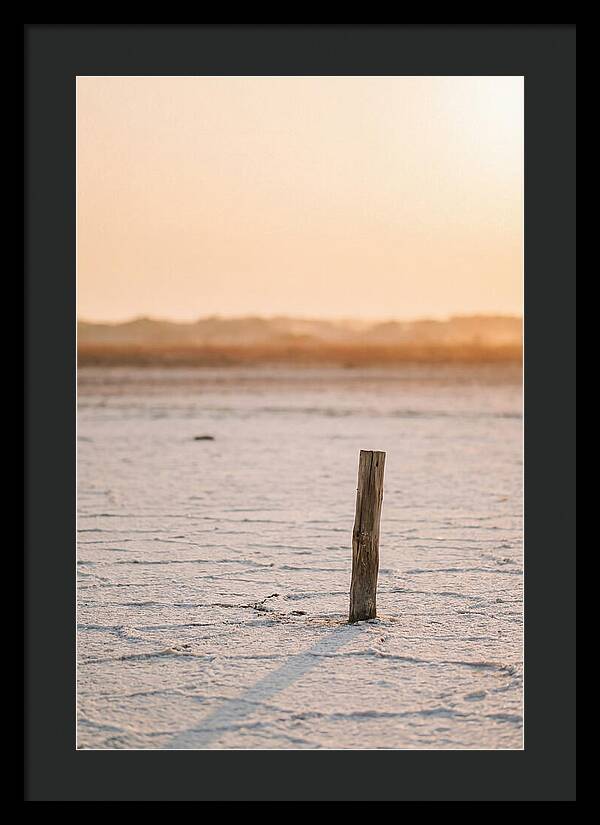 Moonlit Warmth Of Rann Of Kutch