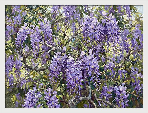 Moonlit Wisteria Dreams