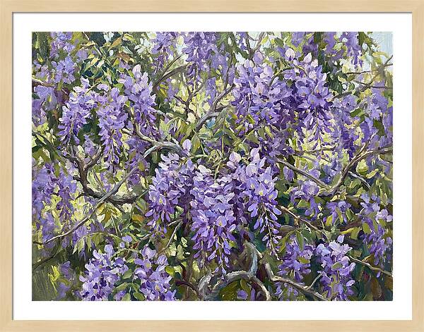 Moonlit Wisteria Dreams