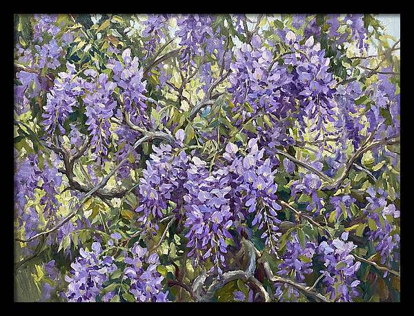 Moonlit Wisteria Dreams