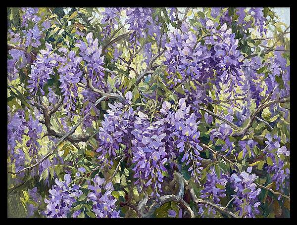 Moonlit Wisteria Dreams