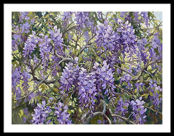 Moonlit Wisteria Dreams