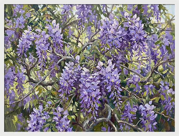 Moonlit Wisteria Dreams