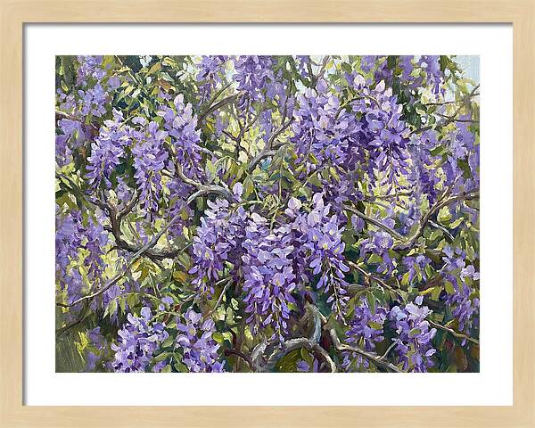 Moonlit Wisteria Dreams
