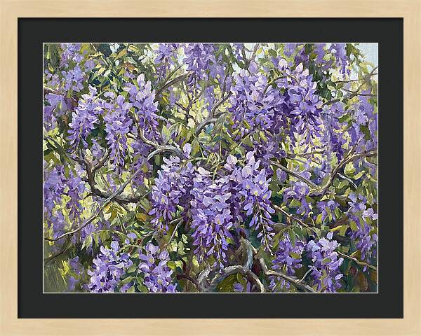 Moonlit Wisteria Dreams