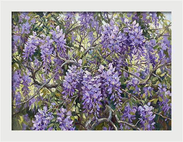 Moonlit Wisteria Dreams