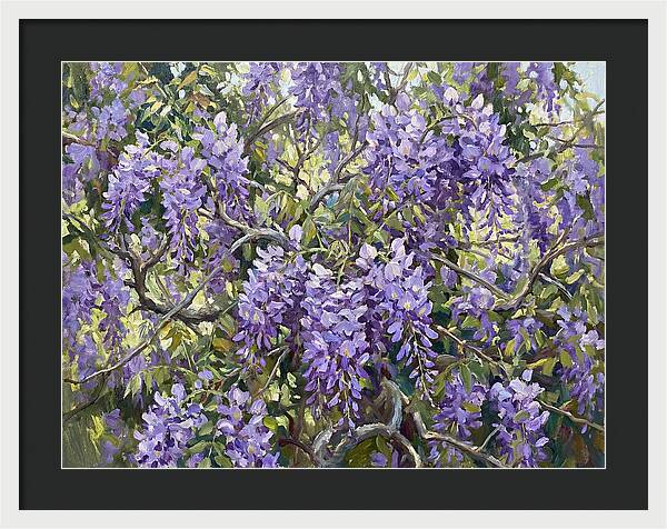 Moonlit Wisteria Dreams