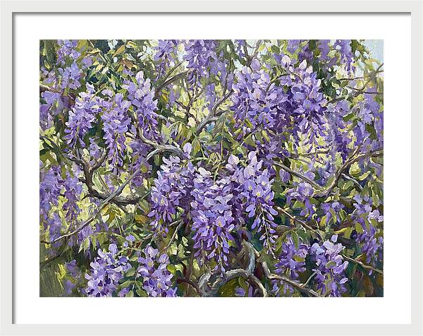 Moonlit Wisteria Dreams