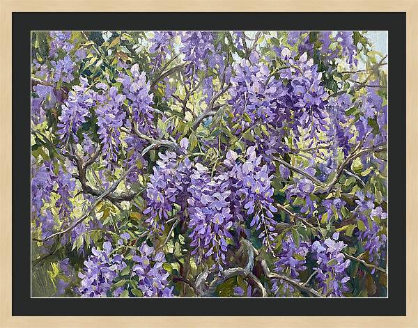 Moonlit Wisteria Dreams