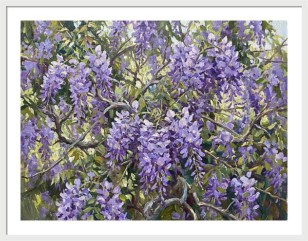 Moonlit Wisteria Dreams