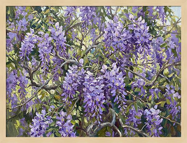 Moonlit Wisteria Dreams