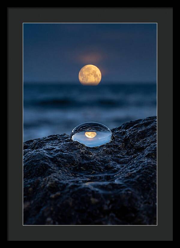 Moonrise Over Ocean Reflection