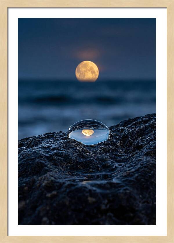 Moonrise Over Ocean Reflection
