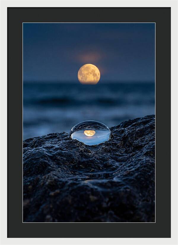 Moonrise Over Ocean Reflection