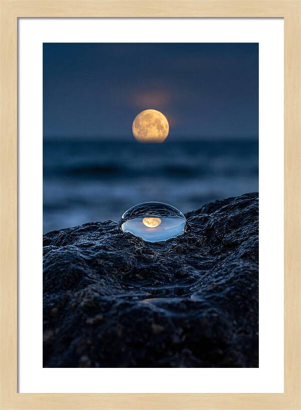 Moonrise Over Ocean Reflection