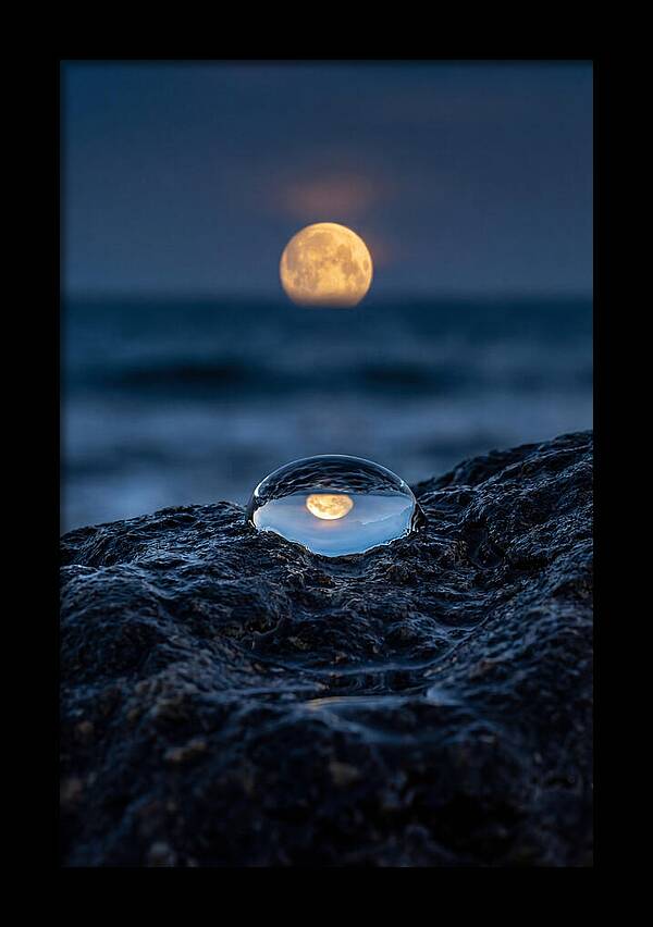 Moonrise Over Ocean Reflection