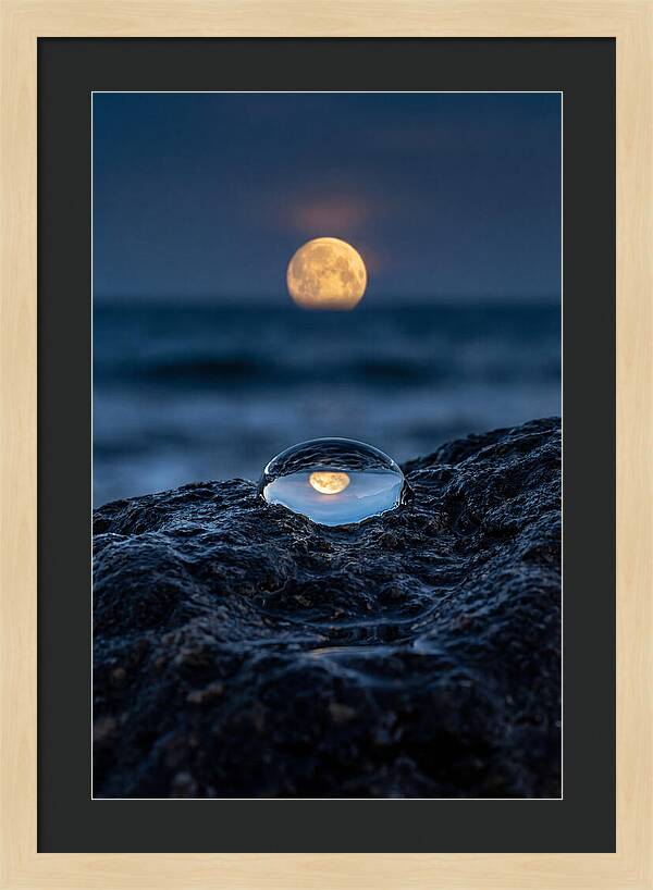 Moonrise Over Ocean Reflection