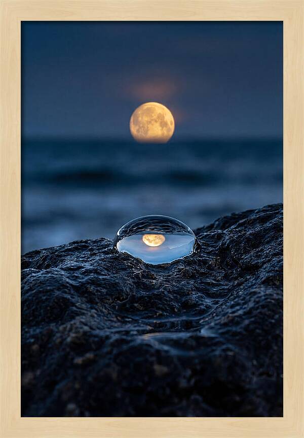 Moonrise Over Ocean Reflection