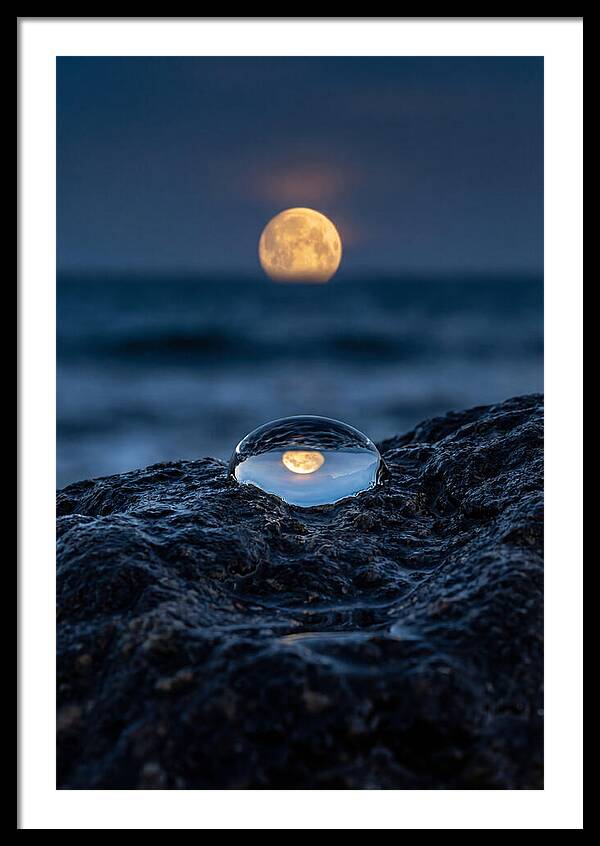 Moonrise Over Ocean Reflection