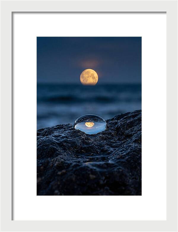 Moonrise Over Ocean Reflection