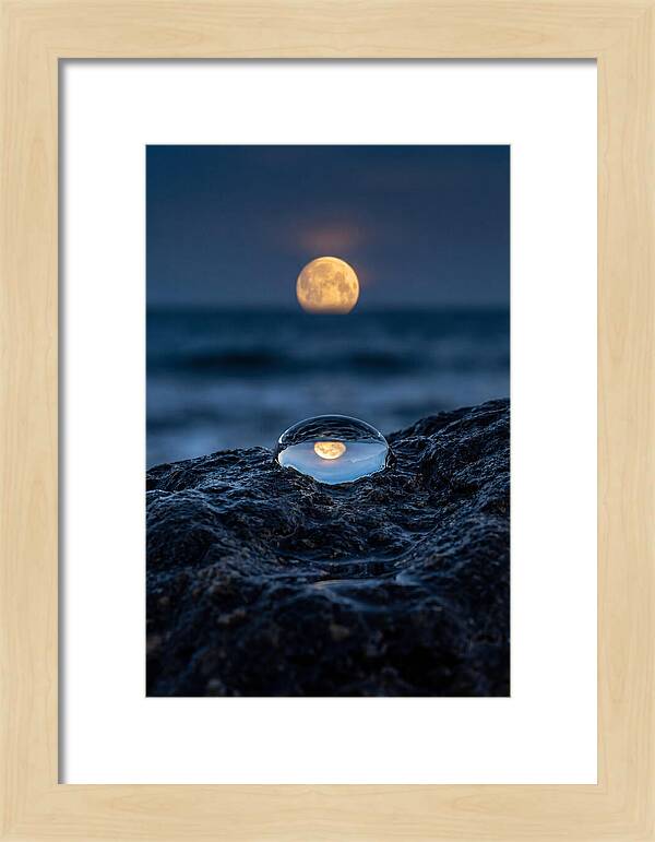 Moonrise Over Ocean Reflection