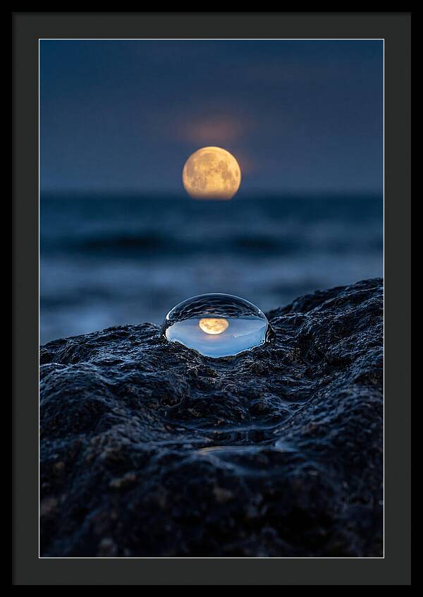 Moonrise Over Ocean Reflection