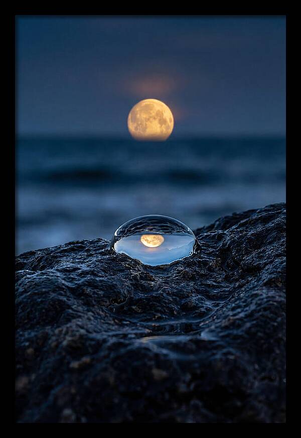 Moonrise Over Ocean Reflection