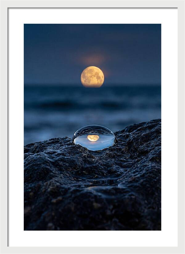 Moonrise Over Ocean Reflection