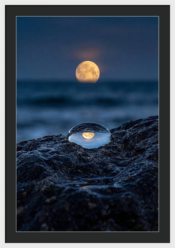 Moonrise Over Ocean Reflection