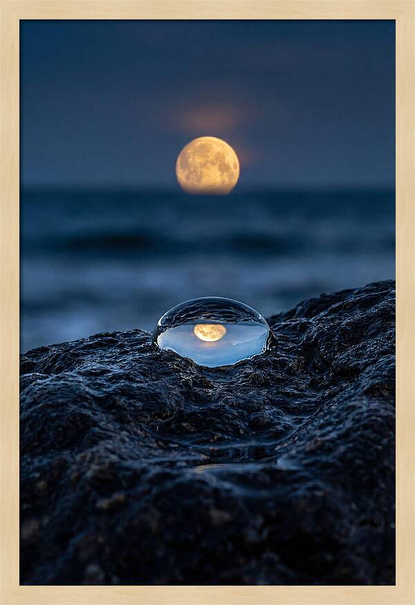 Moonrise Over Ocean Reflection