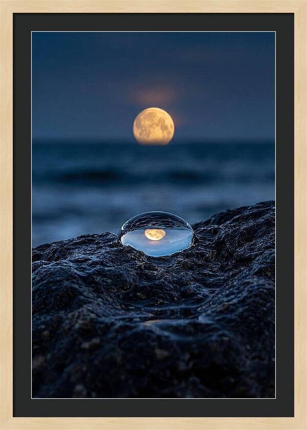 Moonrise Over Ocean Reflection