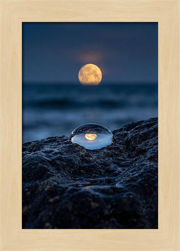 Moonrise Over Ocean Reflection