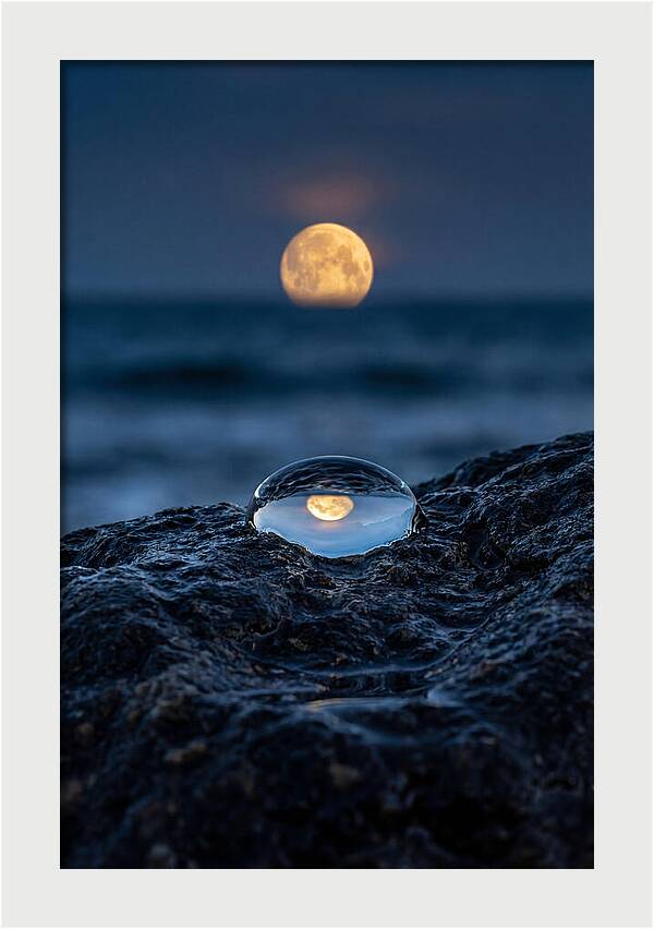 Moonrise Over Ocean Reflection