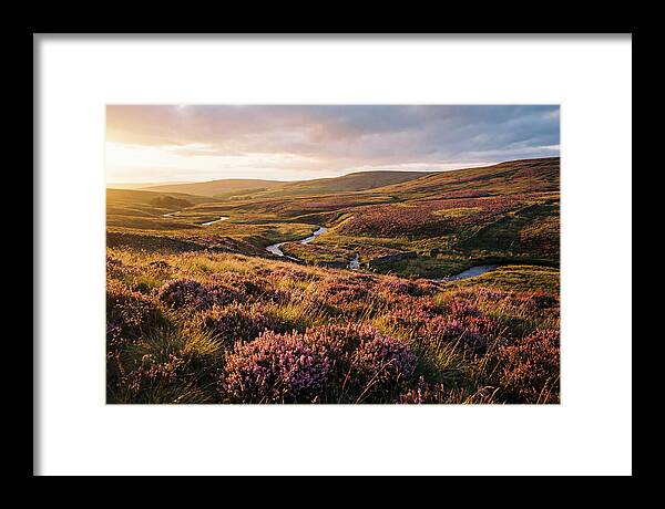 Moorland Serenity At Sunset