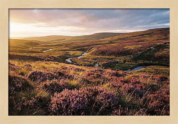Moorland Serenity At Sunset