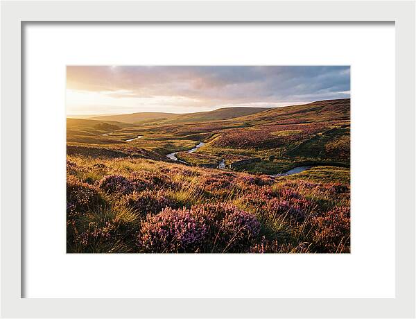Moorland Serenity At Sunset