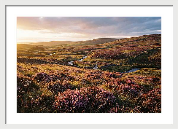 Moorland Serenity At Sunset