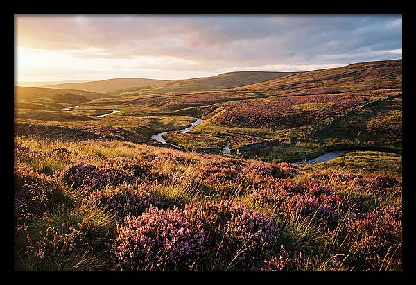 Moorland Serenity At Sunset