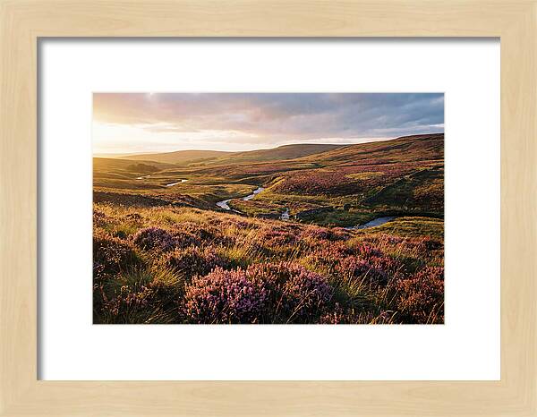 Moorland Serenity At Sunset